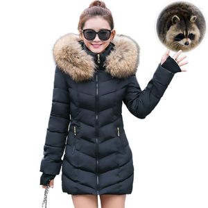 フェイクアライグマの毛皮の女性の冬のダウンジャケットフード厚いパーカーロングメスコートスリム暖かい冬1