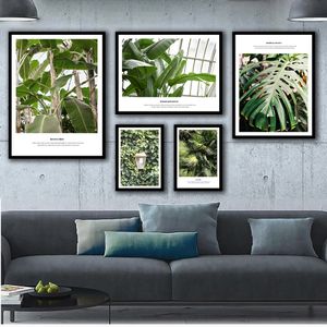 Poster e stampe nordici della foresta pluviale tropicale Wall Art Canvas Painting Immagini murali per la decorazione del soggiorno