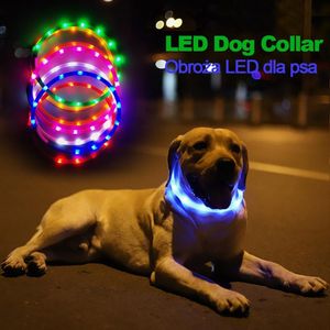 Hundhalsar Leashes Pet Collar LED USB uppladdningsbar justerbar Resizable Silicone Luminous For Cat Night träning Accessories Dog