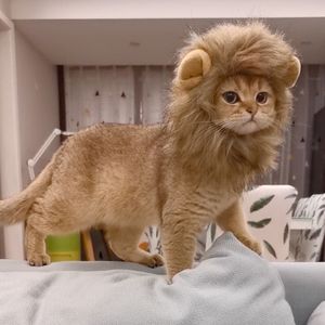 Dog Apparel Lion Wig Costume Cats Accessories Cute ands Funny Small and Medium Pets Lion's Mane Decor for Cat Pets Inventory Wholesale