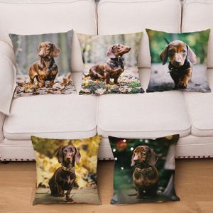 Almofada/travesseiro decorativo fofo animal de estimação em miniatura Dachshund Dog Cushion Capa 45 Super macio de pelúcia curta Capas de travesseiros Decoração de casa Animal Pi