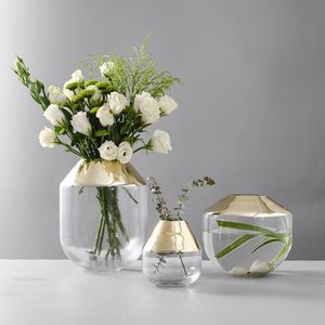 Вазы скандинавская стеклянная ваза с золотым покрытием прозрачный гидропонный цветок творческий дизайн чаша аквариум горшок домой деко