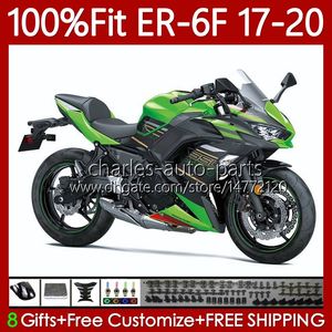 Corpi per stampi ad iniezione per KAWASAKI NINJA 650R ER6 F ER 6F 650 R 2017-2020 Carrozzeria 137No.0 ER-6F ER6F 17 18 19 20 ER6-F 650-R 2017 2018 2019 2020 Kit carenatura OEM verde nero