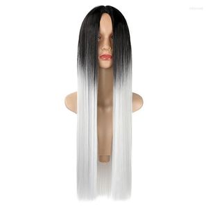 Synthetic Wigs SHANGZI Long Straight Womens Wig Natural Part Side Hair Ombre Platinum/Gradient Heat Resistant For Women Tobi22