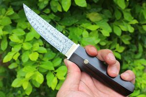 Högkvalitativ Damascus Fixad bladkniv VG10 Damascuss stål Drop Point Blade Ebony Handle Raka knivar med trähölje