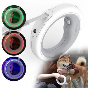 Luminous Retractable Dog Leash Rechargeable LED Light Pet Lead Roulette Rope 3 Meters Long Fashion Leash For Small and Big Dogs 220610