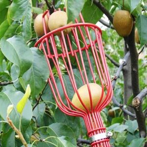 Tuingereedschap Diepe Mand Fruit Picker Hoofd Handige Catcher Peach Picking Farm Device 220421