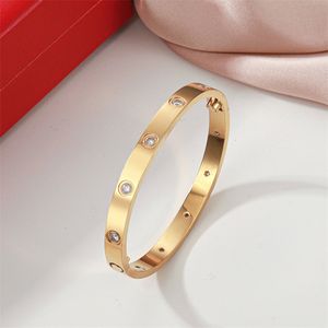 Designer Bangles Rose Gold Armband For Women Men Luxury Brand Jewelry Trendy Crystal Bangle Fashion Rostfria Bangles smycken Vintage Christmas Gift