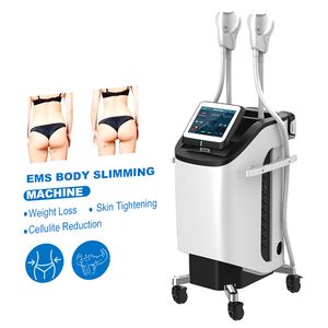 Multifunzionale 2022 Hi-Emt Ems Stimolatore Muscolare Elettrico Addominale Corpo Macchina Dimagrante 4 Maniglie Attrezzature per Fisioterapia