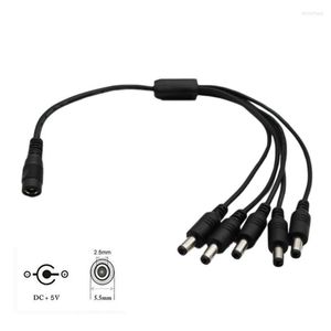 Computerkabelanschlüsse 1 Stück CCTV DC-Netzstecker 1 Buchse auf 5 Stecker Kabelsplitter 5,5 mm x 2,5 mm AdapterkabelComputer