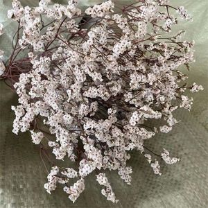 35 ~ 42cm / 60g kristall gräs naturlig fräsch torkad bevarad glöm mig blommor, riktigt för alltid älskare gräs gren för heminredning 220406