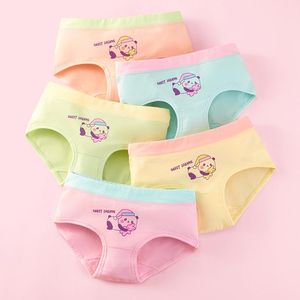 Trosor 5pcs stor tjej underkläder baby barn godis färger knickers undermanta tonåringar ung tecknad prinsessa söta briefs grossist