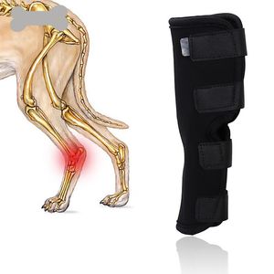 Aparentemente as joelheiras Pet Support Brace para lesão de jarrete de jarrete da perna Lesão respirável Recuperem as pernas protetor HealthDog Apareldog