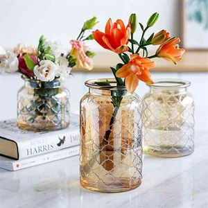 Szklany wazon salon suszone kwiaty nordyckie szklane przezroczyste akcesoria dekoracji domowej wazony wazon stołowy 210409