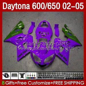 Kit carrozzeria per Daytona 650 600 CC 2002 2003 2004 2005 Corpo 132No.96 Carenatura Daytona650 02-05 Daytona600 Daytona New Purple 600 02 03 04 05 Carenatura moto ABS