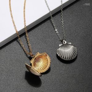 Pendant Necklaces Seashell Necklace Oval Locket Shell Pattern Po Openable Stainless Steel Gold For Women Memories Jewelry Elle22