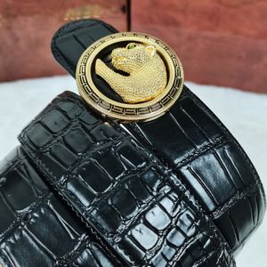 Krokodil Skin Belt Stefanoricc Luxury Brand för Man Läder Toppkvalitet Bälten Officiell Reproduktioner Factory Direktförsäljning Vintage Retro Klassisk stil 3,8 cm