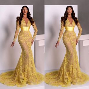 See Thru Mermaid Evening Dresses for Women Long Sleeved Lace Party Outfits Ladies V Neck Customise Prom Dress