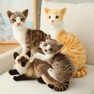 Nya fyllda livsliknande siamesiska katter Plush Toy Simulation American Shorthair Söt kattdocka Pet Toys Home Decor Gift for Girls Bi