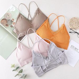 Bustiers & Corsets Fashion Bralette Seamless Sexy Lingerie Simple Push Up Bra Front Closure Candy Color Women Underwear Small BrassiereBusti