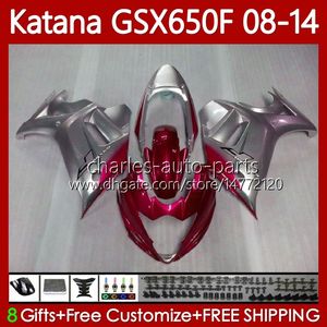 Suzuki Katana GSXF 650 GSX-650F GSX650F GSXF650 Red Silver 2008 2009 2010 2011 12 13 14 120no.136 GSX 650F GSXF-650 08 09 10 11 2012 2013 2014 OEM PERSASYONLARI