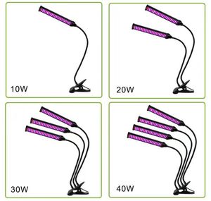 LED Grow Light 20W 40W 60W 80W DC 5V/12V USB Bitki Büyüme lambası Hidroponikler için tam spektrum ışıkları Sera Kırmızı/Mavi Bitki Çiçeği Büyüyen