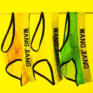 Underpants Men's Sexy Breathable Underwear Briefs See Through Lingerie High Quality Low Rise Mesh Panties BriefsUnderpants