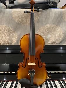 Violino europeo puro fatto a mano modello tigre violino professionale in legno massello di abete naturale 4/4 che suona strumenti a corda