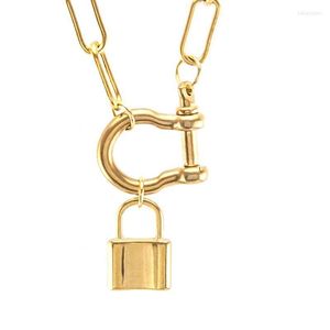 Hänge halsband Lucky Padlock Coin Chunky Chain Thick Linked For Women Minimalist Necklace Everyday Jewelry 2022