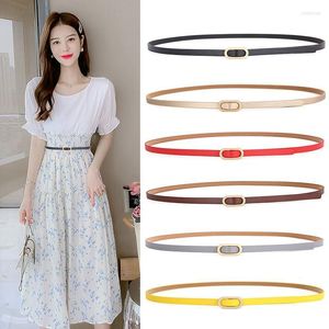 Celra Fashion Slim Belt For Women Candy Candy Color Wassitband Casual Roupfits Acessórios Telas da cintura 2022 Summer Smal22