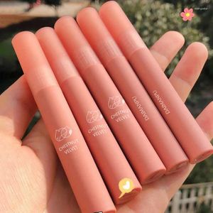 Lipgloss Glaze Matte Velvet Orange-Braun Lippenstift Hochwertiges Weiß Wasserdicht Langlebiges Antihaft-Cup-Make-up TSLM1Lip Wish22