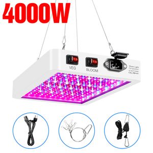 Pannello LED a spettro completo Luce per piante 4000W 5000W Fitolamp impermeabile 220V LED Grow Lights Chip Serra interna Phyto Lamp