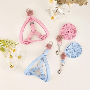 Collari per cani Guinzagli Guinzaglio e collare piccoli Set Fiore rosa Pettorina per gatti per cani Gatti Guinzagli regolabili per gattini Accessori per cuccioli