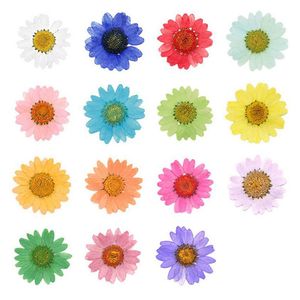 Coroas de flores decorativas 12 pçs Cabeça seca prensada Plantas de margarida para colar de pingente de resina epóxi Jóias Fazendo artesanato DIY Acesso à arte de unhas