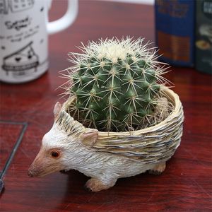 Cute Hedgehog Resin Flower Pot For Succulent Cactus Plants Mini Animal Planter bonsai Home Garden Decoration Crafts Ornaments T200529