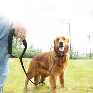 Collari per cani Guinzagli Corda per guinzaglio da 180 cm Comodo manico in spugna Cintura per animali domestici Cordino per addestramento all'aperto per cani di taglia piccola e media StuffDog