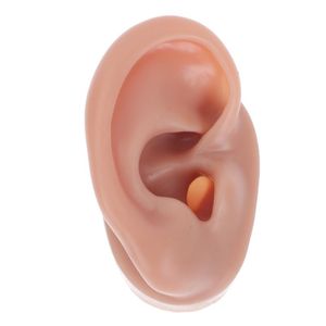ingrosso Formazione Trucco-Ben spazzole per il trucco pc Modello d orecchio utile Pratico di allenamento in silicone umano