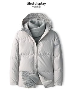 Белый гусиный пух Arctic Series пуховик мужской 2022 зима новая мода теплая короткая повседневная куртка с капюшоном
