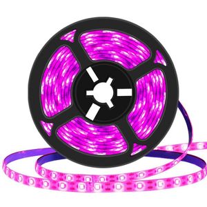 DC 5V USB LED Grow Light Full Spectrum 1m 4.8w 60leds smd2835 Plant Strips Phyto Lamp Lead Low Voltage Strips 20m lots