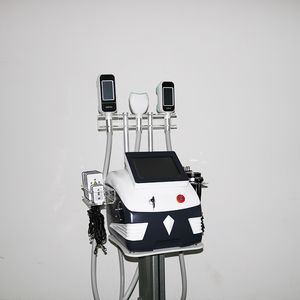 360 Cryolipolysis Machine Machine замороженные жирные криотех