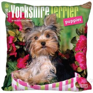 Yorkshire Terrier Köpek Yastığı Kılıfı Fermuarı 35x35cm 40x40cm 45x45cm 60x60cm İki tarafı yastık kılıfı özel resminiz 220622