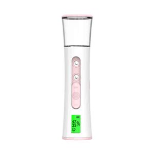 Gesichtsdampfer Gesichtsfeuchtigkeitscreme Elektronischer Verdampfer Home Beauty Spa Nano Nebelsprüher Hautpflegewerkzeuge mit Doppelsprühköpfen 220507