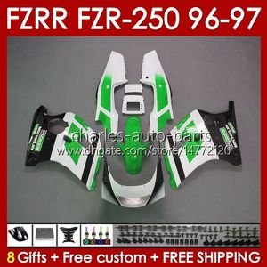 Corpo OEM para Yamaha FZR250RR FZR250-R FZR-250R FZR250R 96-97 Trabalho 144NO.100 FZR-250 FZR250 RR RR 1996 1997 FZRR FZR 250R 250rr FZR 250 R RR 96 97 Fanda Greeny Greeny