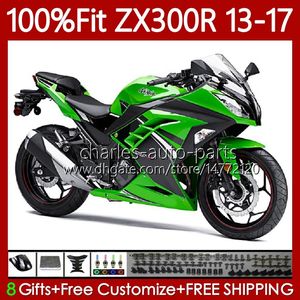 Einspritzverkleidungen für KAWASAKI NINJA ZX-300R ZX3R EX Grün Schwarz ZX 3R 300R 2013 2014 2015 2016 2017 125No.106 ZX-3R EX-300 13-17 ZX300 EX300R ZX300R 13 14 15 16 17 OEM-Karosserie