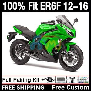 Injektionsmögelmässor för Kawasaki Ninja 650R ER-6F ER6 F ER 6F ER6F 12 13 14 15 16 KOSKODBUS 11DH.38 650-R 2012 2013 2014 2015 2016 650 R 2012-2016 OEM BODY GLOSS GREEN