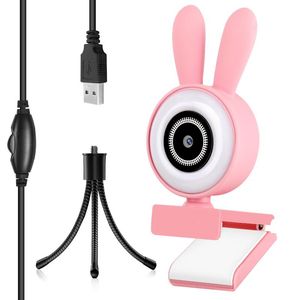 Webcams webcam 1080p HD webcamera ingebouwde microfoon Auto focus volledige pc-computer camara voor videoconferentie roze