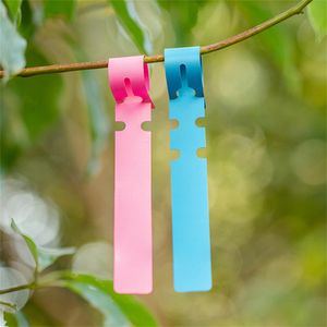 Factory Patio Lawn Garden Supplies 100pcs Pack Plant Labels Tree Tags Plastic Wrap Hanging Nursery Garden Stakes Markers Reusable (20x2cm, 6 Color)