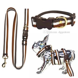Lemas de cães de mãos-livres para cães médios e grandes profissionais super longos colares conjunto para treinamento caminhando correndo seu animal de estimação Stripe XL B80