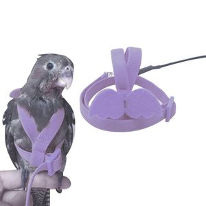 Other Bird Supplies 4 Colors Flying Training Rope Anti-bite Parrot Pet Leash Kits Ultralight Harness Soft Portable Playthings