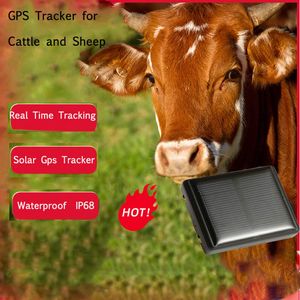 Wasserdichter IP67-GPS-Tracker, Mini-Solar-Schaf-Anti-Verlust-Alarm, Kuh, Rinder, Pferd, Tier, lange Standby-Zeit, lebenslang, kostenlose Web-App